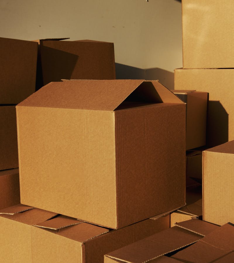 pexels-photo-5025503